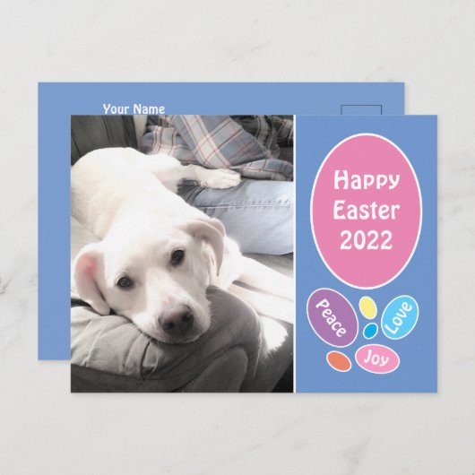 イースターの卵を持つかわいい白い子犬のパパの写真 シーズンポストカード (正面/裏面)