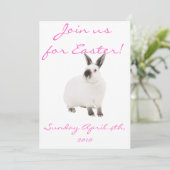 イースターの招待状に！ 招待状 (スタンド正面)