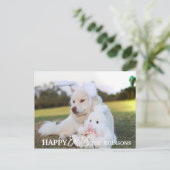 イースターの楽しい写真 レトリバー犬 子犬 ウサギの耳 シーズンポストカード (スタンド正面)