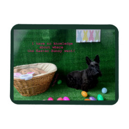 イースターの知識 マグネット