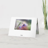 イースターの祝福 神は世界を愛された ヨハネ 3:16 シーズンカード (裏面)