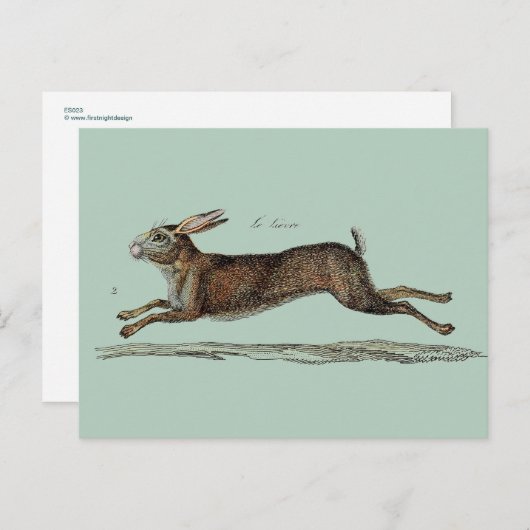 イースターの競争のノウサギ シーズンポストカード (正面/裏面)