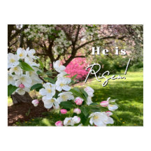 イースターの花