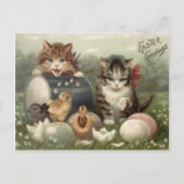 イースターひよこによって着色される卵の子ネコ猫 シーズンポストカード (正面)