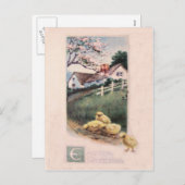 イースターひよこのヤードのミズキ木 シーズンポストカード (正面/裏面)