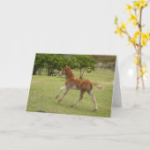 イースターアイランド赤ラパヌイ カード (黄色い花)