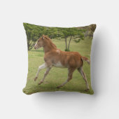 イースターアイランド赤ラパヌイ クッション (正面)