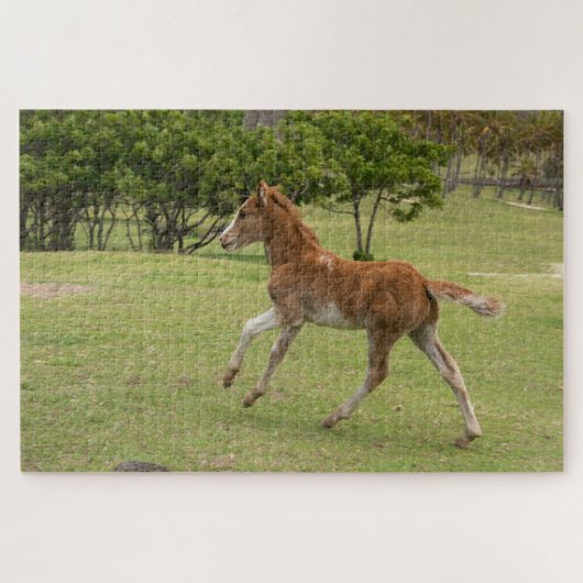 イースターアイランド赤ラパヌイ ジグソーパズル (横)