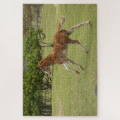 イースターアイランド赤ラパヌイ ジグソーパズル (縦)