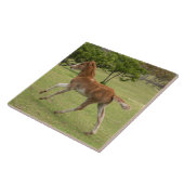 イースターアイランド赤ラパヌイ タイル (側面)