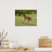 イースターアイランド赤ラパヌイ ポスター (キッチン)