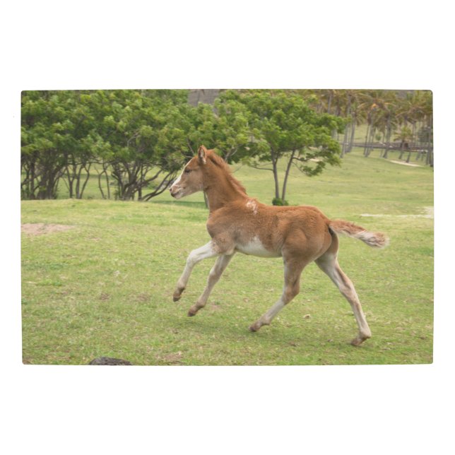 イースターアイランド赤ラパヌイ メタルプリント (正面)