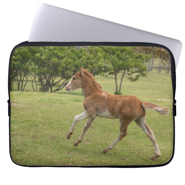 イースターアイランド赤ラパヌイ ラップトップスリーブ (正面)