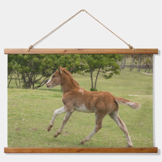 イースターアイランド赤ラパヌイ 吊り下げ型タペストリー (正面)