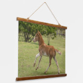 イースターアイランド赤ラパヌイ 吊り下げ型タペストリー (傾斜あり)