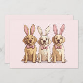 イースターイエローラブラドールレトリエバードッグ シーズンカード (正面/裏面)