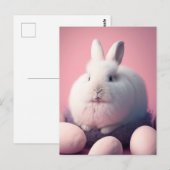 イースターウサギと卵のポストカード ポストカード (正面/裏面)