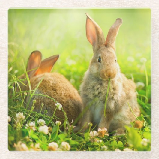 イースターウサギ ガラスコースター (正面)