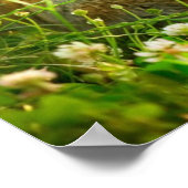 イースターウサギ ポスター (角)