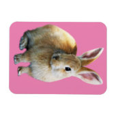 イースターウサギ マグネット (横)