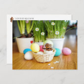 イースターエッグとacorn小妖精や小人イースターポストカード ポストカード (正面/裏面)
