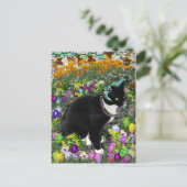 イースターエッグのための狩りのそばかす シーズンポストカード (スタンド正面)