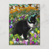 イースターエッグのための狩りのそばかす シーズンポストカード (正面)