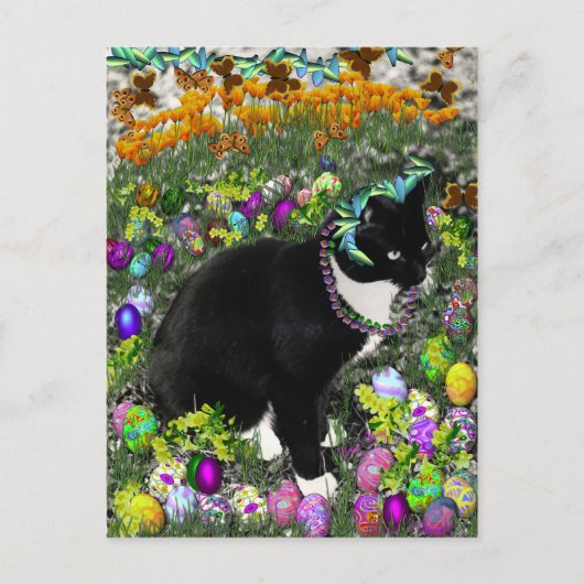 イースターエッグのための狩りのそばかす シーズンポストカード (正面)