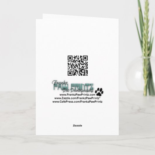 イースターエッグのクッキー-コアラ シーズンカード (裏面)