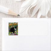 イースターエッグの狩りのソバカス ラベル (インサイチュ)