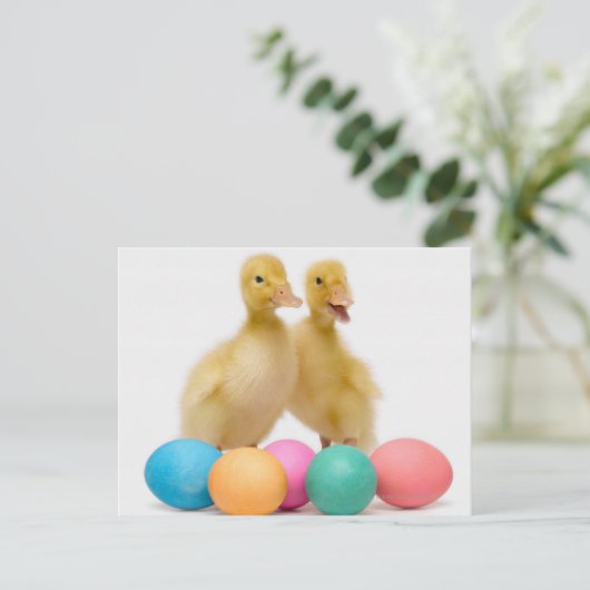 イースターエッグを持つ2羽のアヒル シーズンポストカード (スタンド正面)