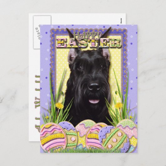 イースターエッグクッキー – シュナウザー シーズンポストカード (正面/裏面)