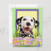イースターエッグクッキー – ダルマチア シーズンポストカード (正面/裏面)