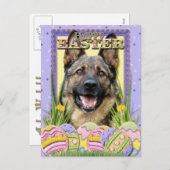 イースターエッグクッキー – ドイツの羊飼い シーズンポストカード (正面/裏面)