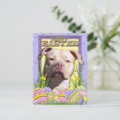 イースターエッグクッキー – ピットブル- JerseyGirl シーズンポストカード (スタンド正面)