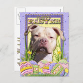 イースターエッグクッキー – ピットブル- JerseyGirl シーズンポストカード (正面/裏面)