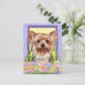 イースターエッグクッキー – Yorkshire Terrier シーズンポストカード (スタンド正面)