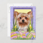 イースターエッグクッキー – Yorkshire Terrier シーズンポストカード (正面/裏面)
