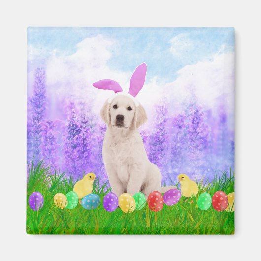 イースターエッグズバニーチックスとゴールデンレトリエバー犬 マグネット (正面)