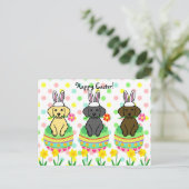 イースターエッグラボパピーズ漫画 シーズンポストカード (スタンド正面)