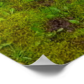 イースターエッグ狩りとパーティードッグズバリューポスター ポスター (角)