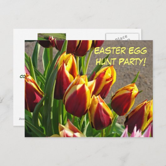 イースターエッグ狩りパーティー!招待状ポストカードチューリップ ポストカード (正面/裏面)