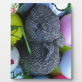 イースターエッグ、ラビットゴルフボール フォトプラーク (正面)