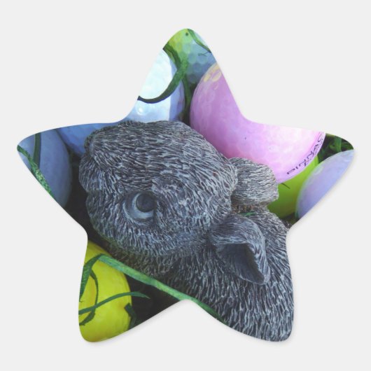 イースターエッグ、ラビットゴルフボール 星シール (正面)