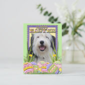 イースターエッグCookie – オールド・イングリッシュ・シープドッグ シーズンポストカード (スタンド正面)