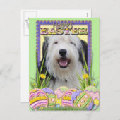 イースターエッグCookie – オールド・イングリッシュ・シープドッグ シーズンポストカード (正面/裏面)
