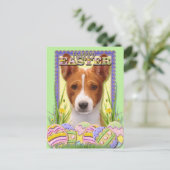 イースターエッグCookie – バセンジ シーズンポストカード (スタンド正面)