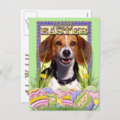 イースターエッグCookie – ベーグル シーズンポストカード (正面/裏面)