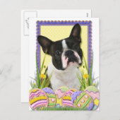 イースターエッグCookie – ボストンテリア シーズンポストカード (正面/裏面)