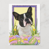 イースターエッグCookie – ボストンテリア シーズンポストカード (正面)